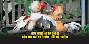 Màu mạng gà đá